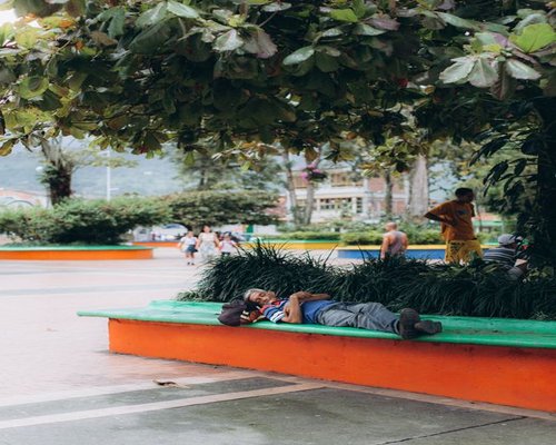 Person taking a peaceful break in a Colombian urban park